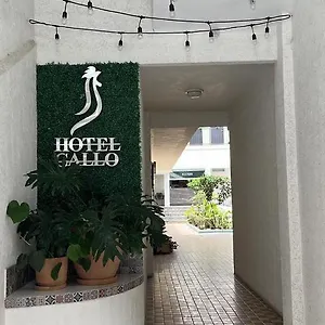 Gallo Hotel